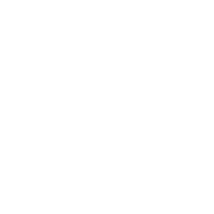 PPG LOGO